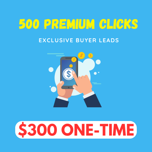 500 FRESH PREMIUM CLICKS (BEST DEAL)